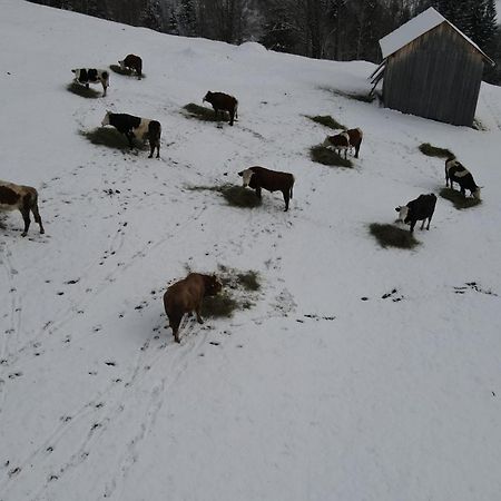 Casa Agroturistica Tarancuta Din Vatra Moldovitei Hotel Kültér fotó