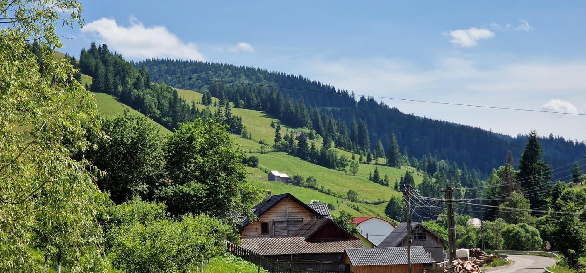 Casa Agroturistica Tarancuta Din Vatra Moldovitei Hotel Kültér fotó